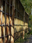 FZ033798 Bridge over river Wye by Tintern Abbey.jpg